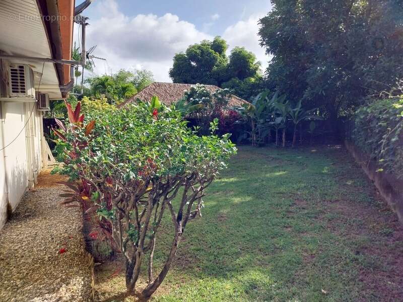 2 maison T3 locatif à REMIRE MONTJOLY (973) - photo 14