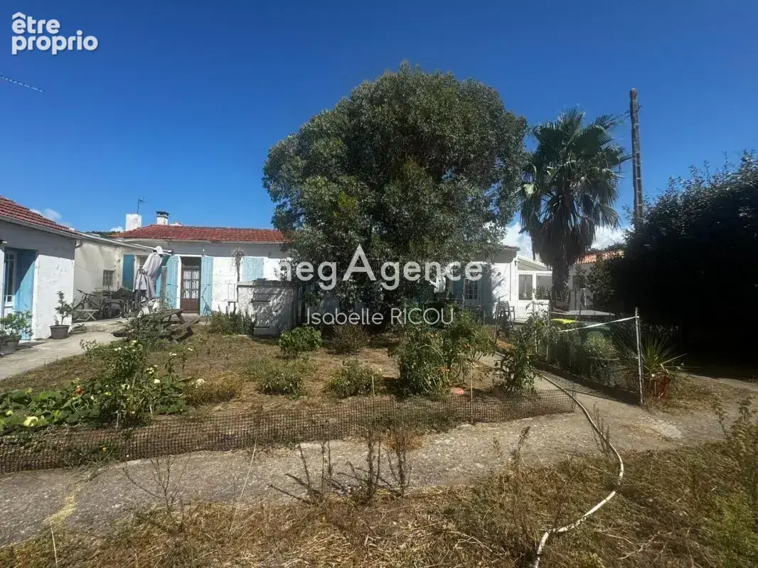 DOLUS D'OLERON, côte Ouest, maison charentaise de 180m² sur 620m² - photo 4