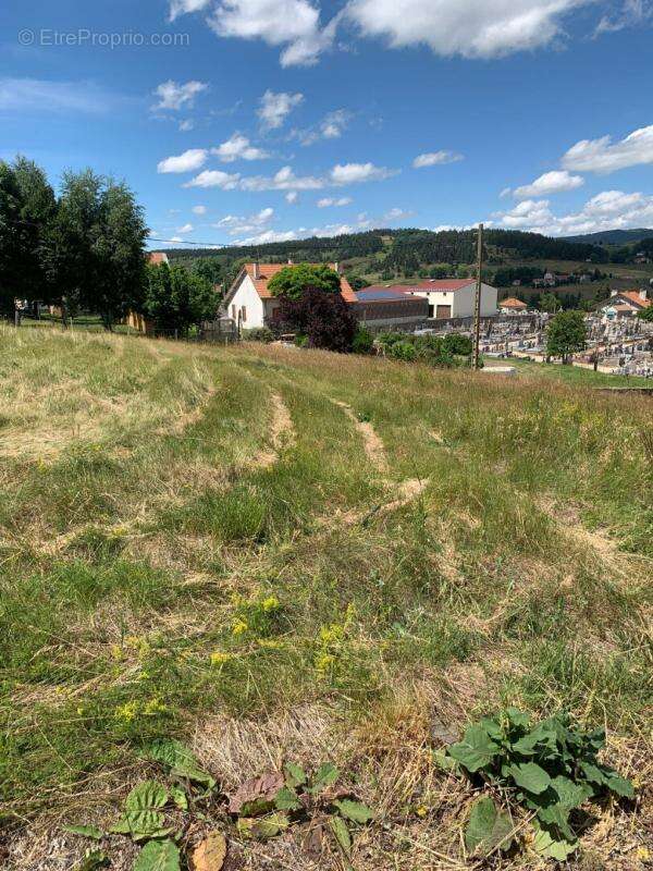 Terrain Langogne  viabilisé de 732 m2 - photo 6