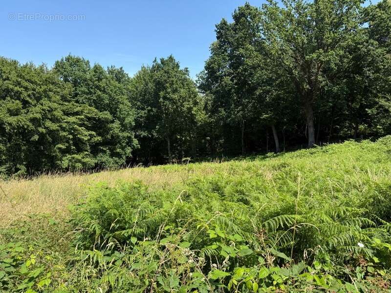 Terrain à vendre de 3 250,00 m² SAINT MARTIN DU VIVIER (76) - photo 6