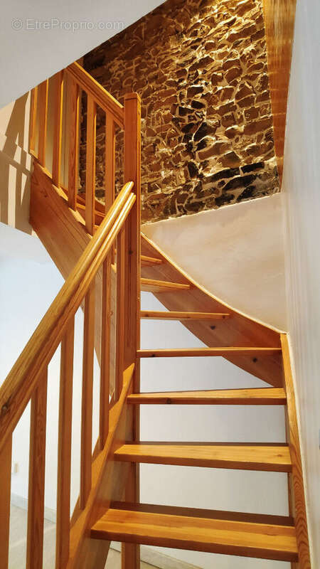 Maison à SAINT-MARTIN-EN-HAUT