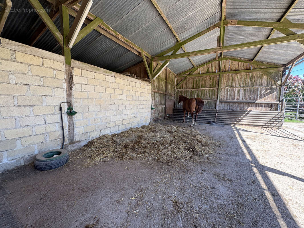 Propriete equestre à vendre proche haras du pin - photo 3