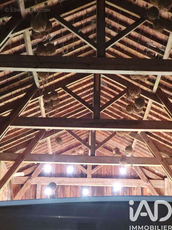 Photo 4 - Terrain à BAZAS