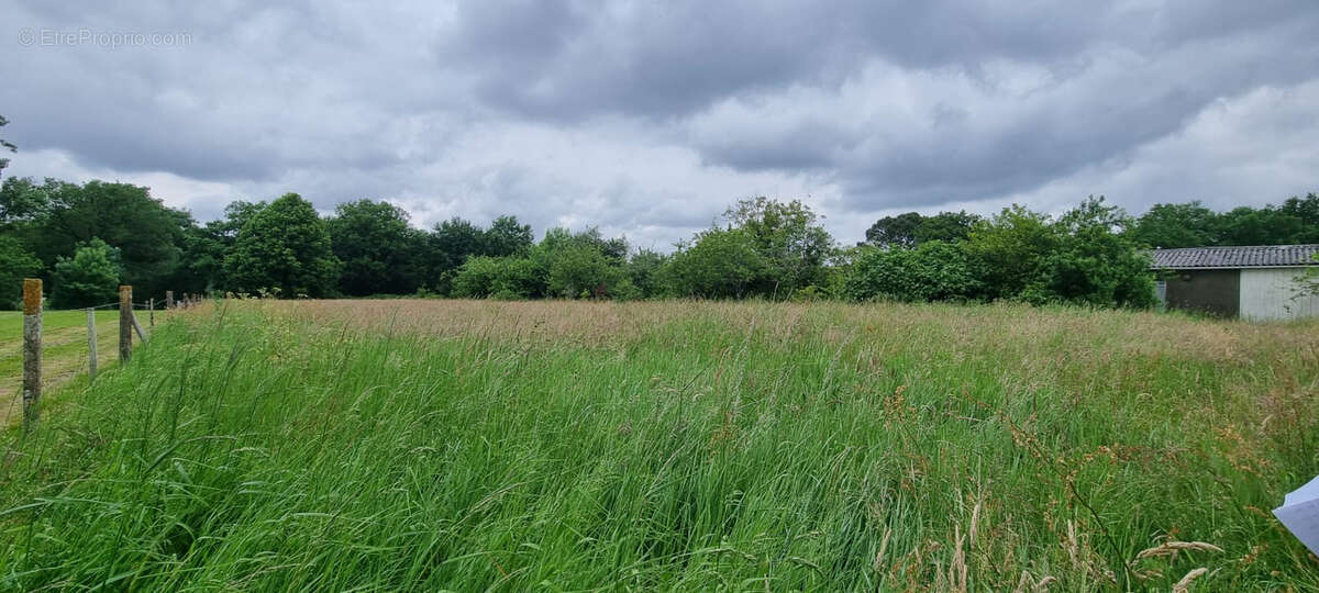 Terrain à LA ROCHE-SUR-YON