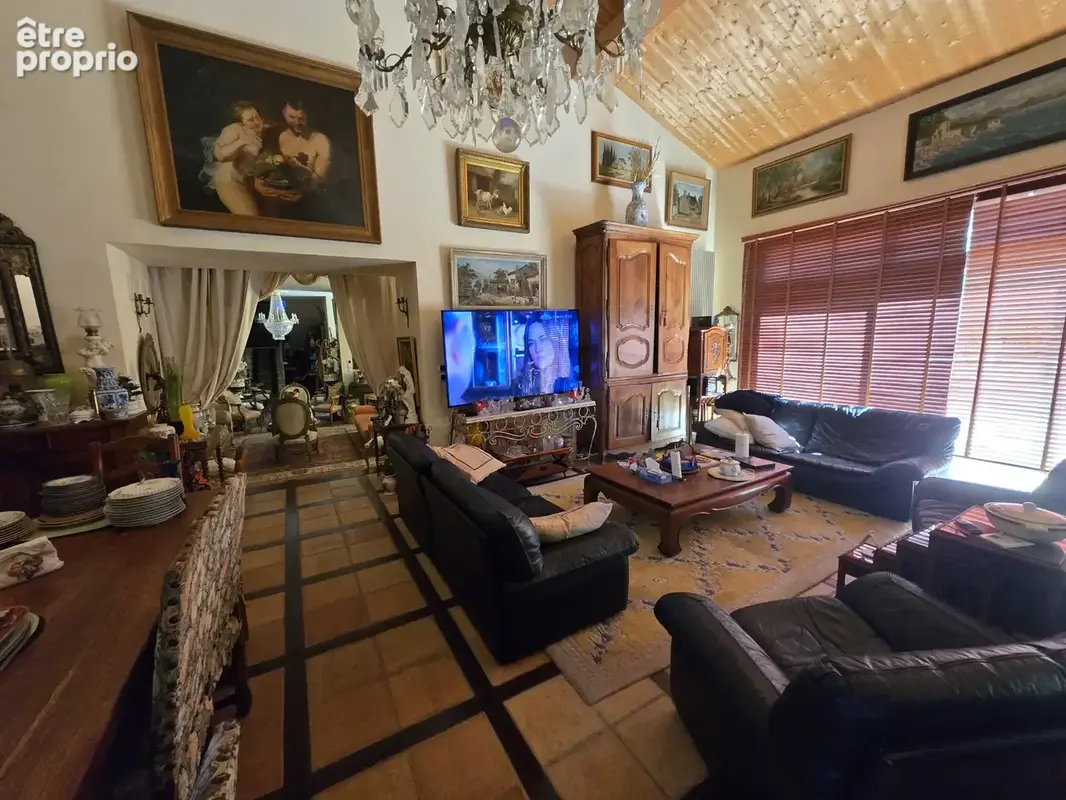 Saint-martin d'oydes-chateau mercie 350 m2 - photo 9