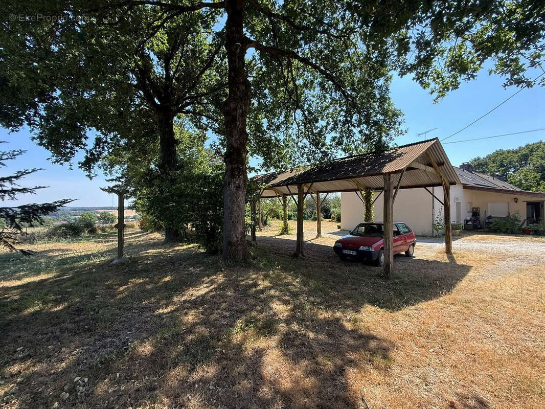 Appartement 292 m² à Saint-Martin  - photo 3
