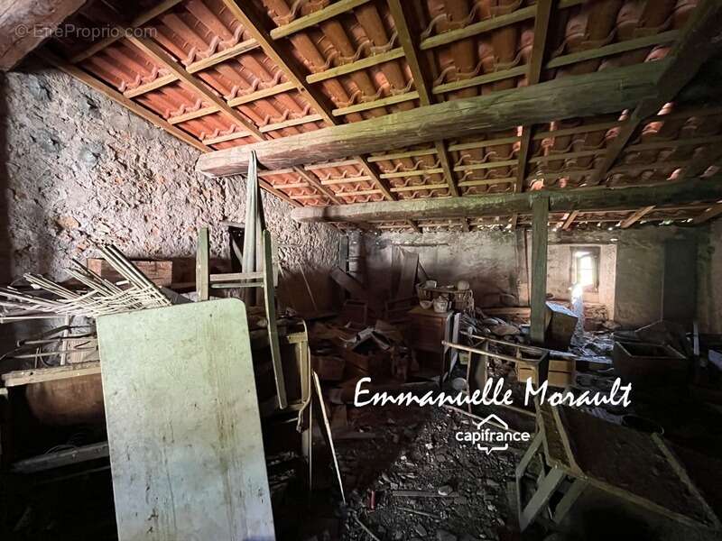 Commerce à BAGNOLS-EN-FORET