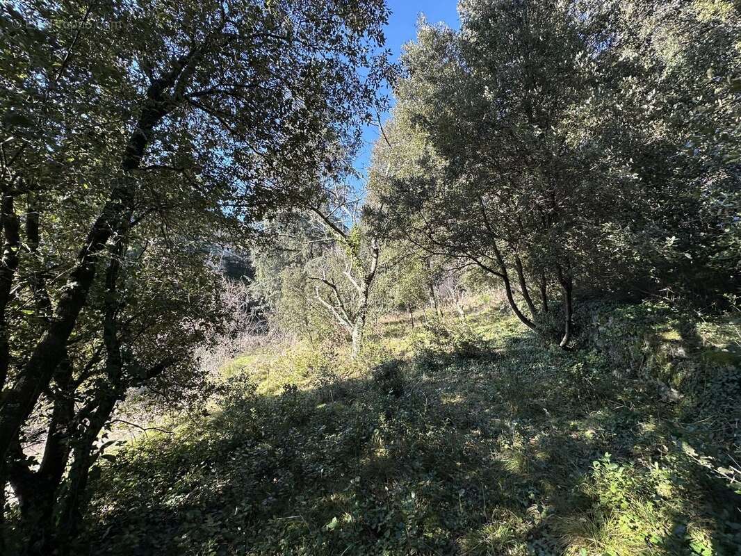 Terrain à NOTRE-DAME-DE-LA-ROUVIERE