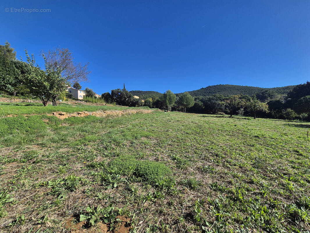 Terrain à LE PRADET