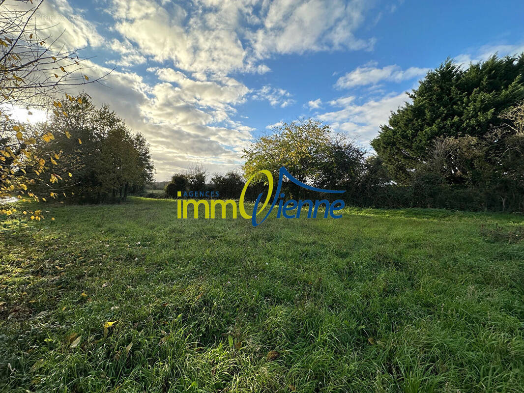 Terrain à ROCHES-PREMARIE-ANDILLE