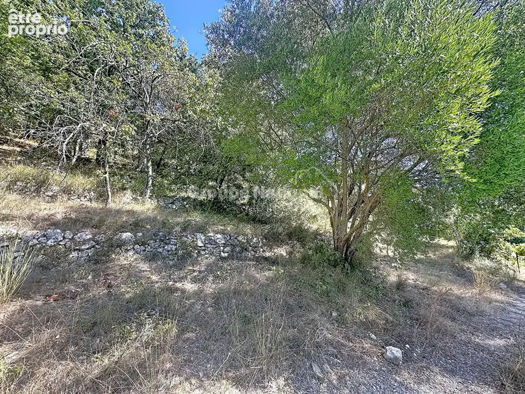 Terrain à vendre Grasse 3034 m² permis accordé et purgé CANTE PERDRIX - photo 3