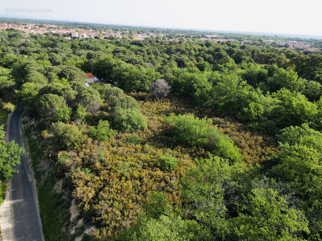 Terrain à ARGELES-SUR-MER
