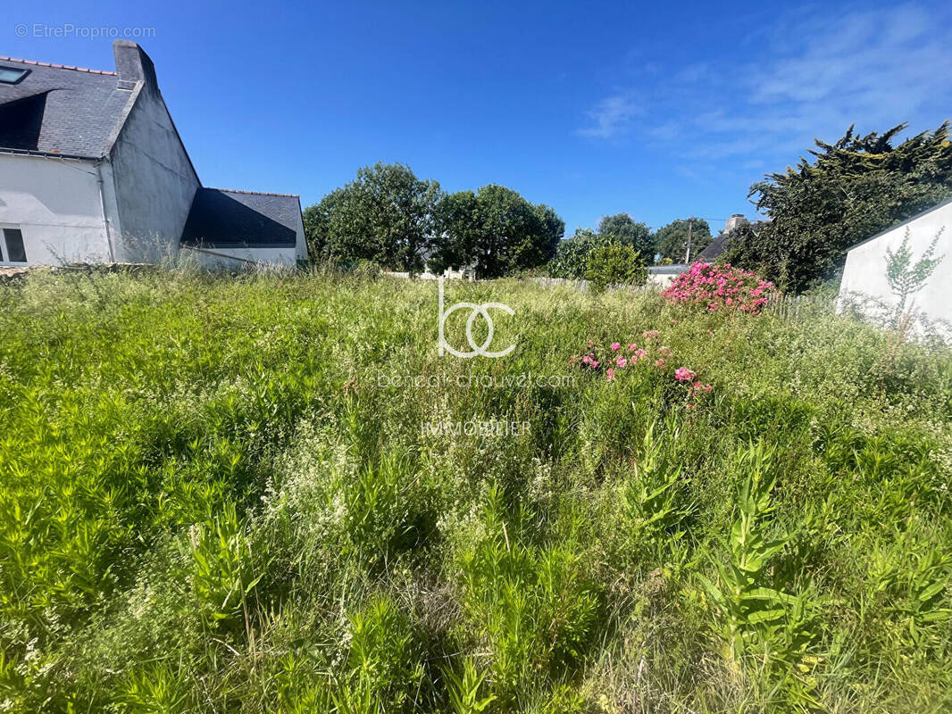 Terrain à SARZEAU