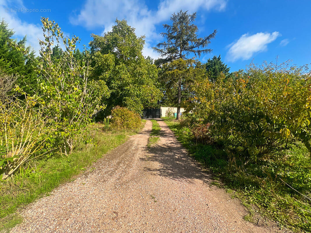 Terrain à ROSNY-SUR-SEINE