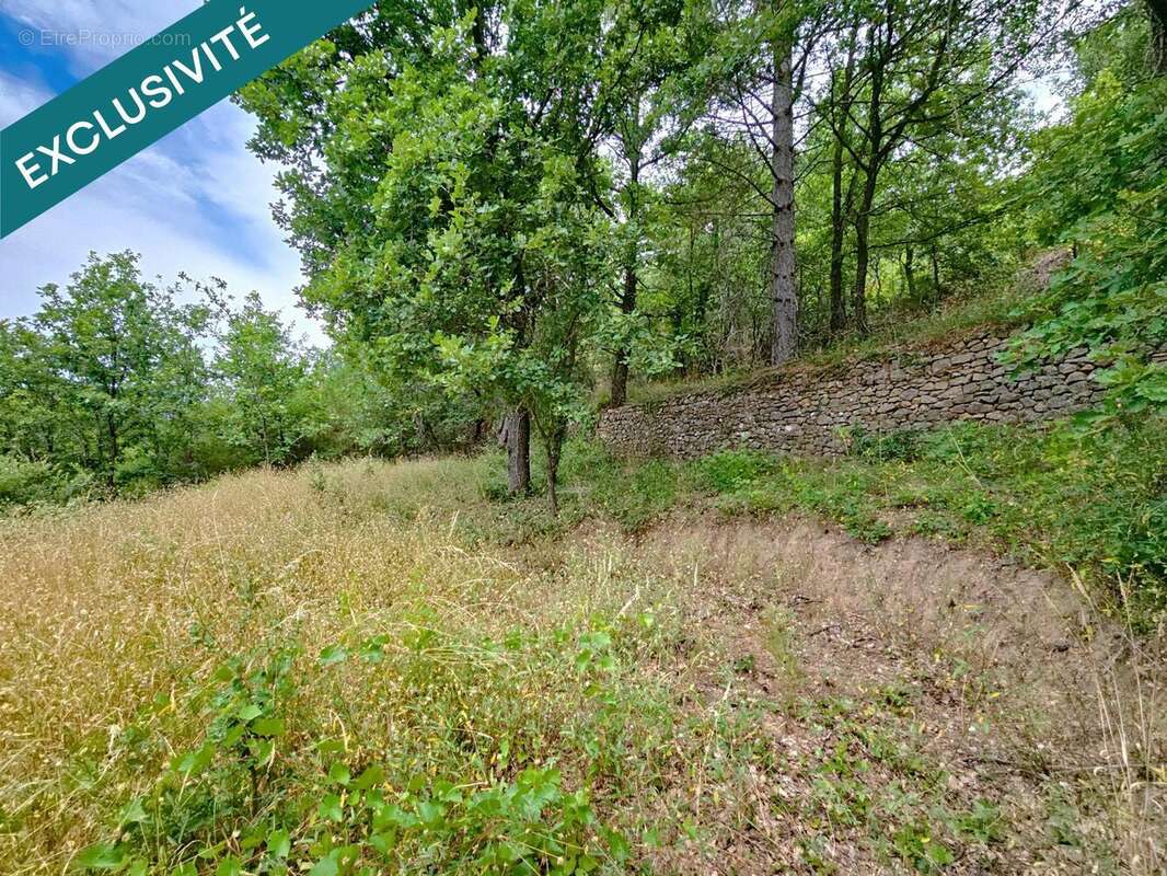 Photo 9 - Terrain à GRAISSESSAC