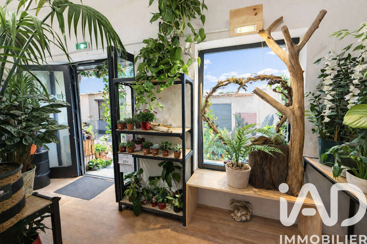 Photo 3 - Commerce à NIMES