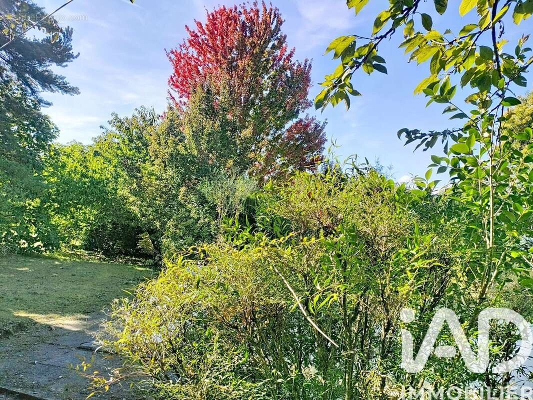 Photo 5 - Maison à CHANTEMERLE-LES-BLES