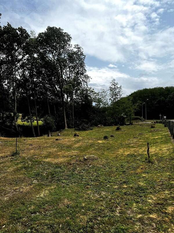 Photo 1 - Terrain à NEUILLY-SAINT-FRONT