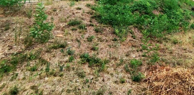 Terrain à MONTPELLIER