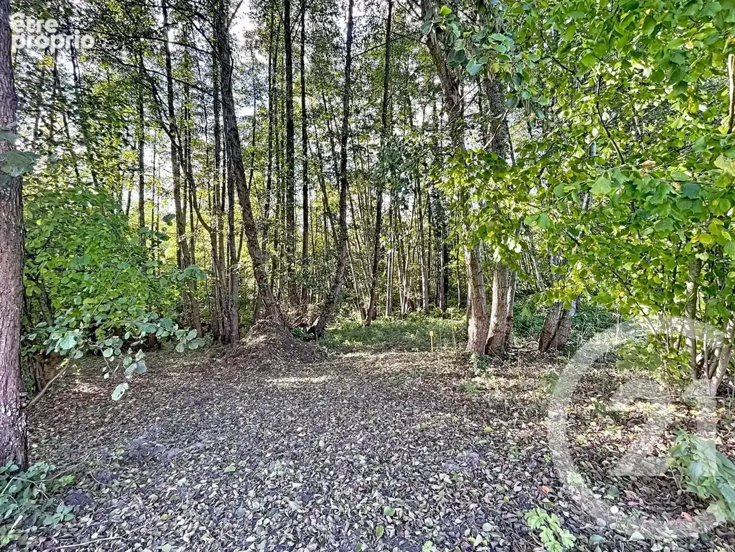 Terrain 1 037 m² à vendre à Gazeran (78125) - photo 4