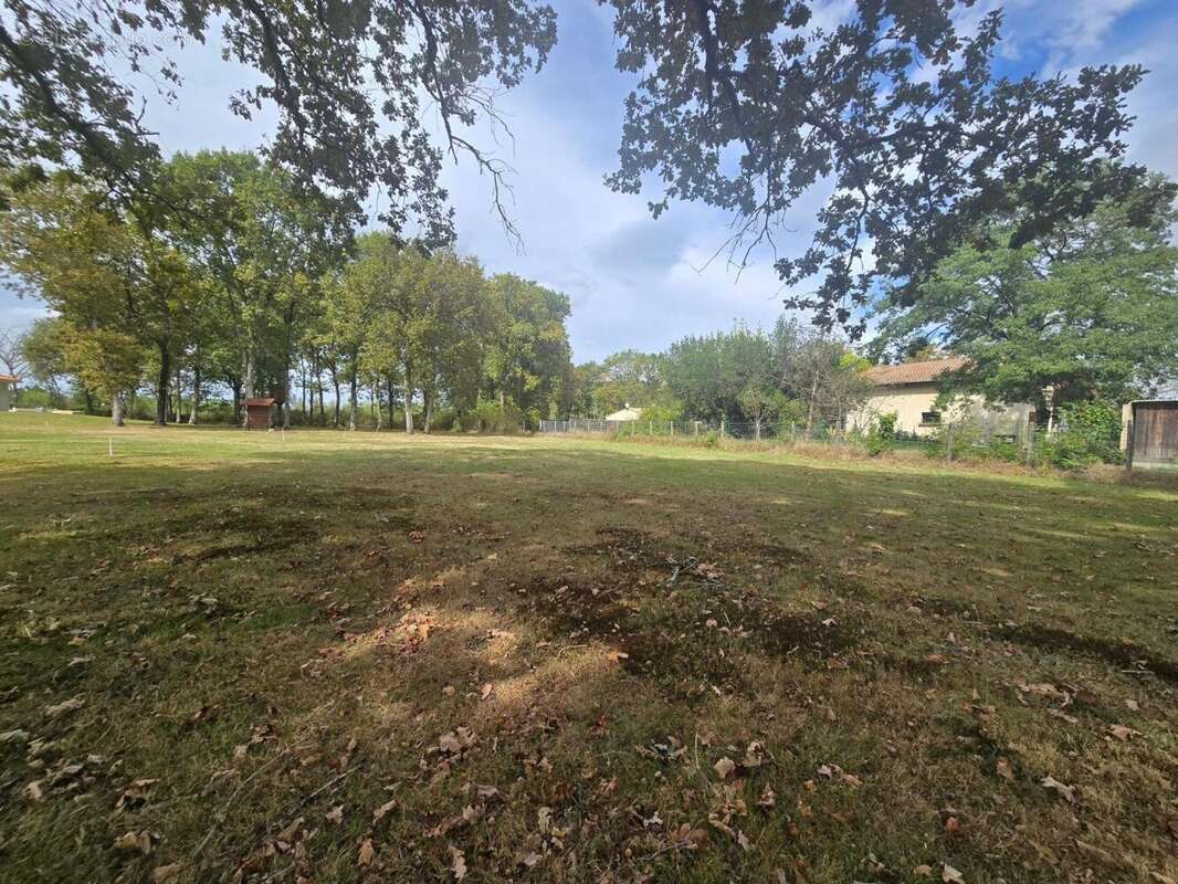 Photo 2 - Terrain à SAINT-JEAN-D'ILLAC