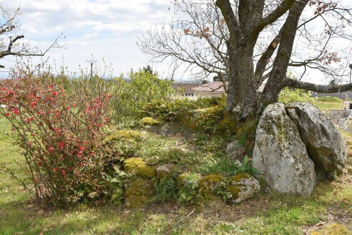 Photo 4 - Terrain à PEAUGRES