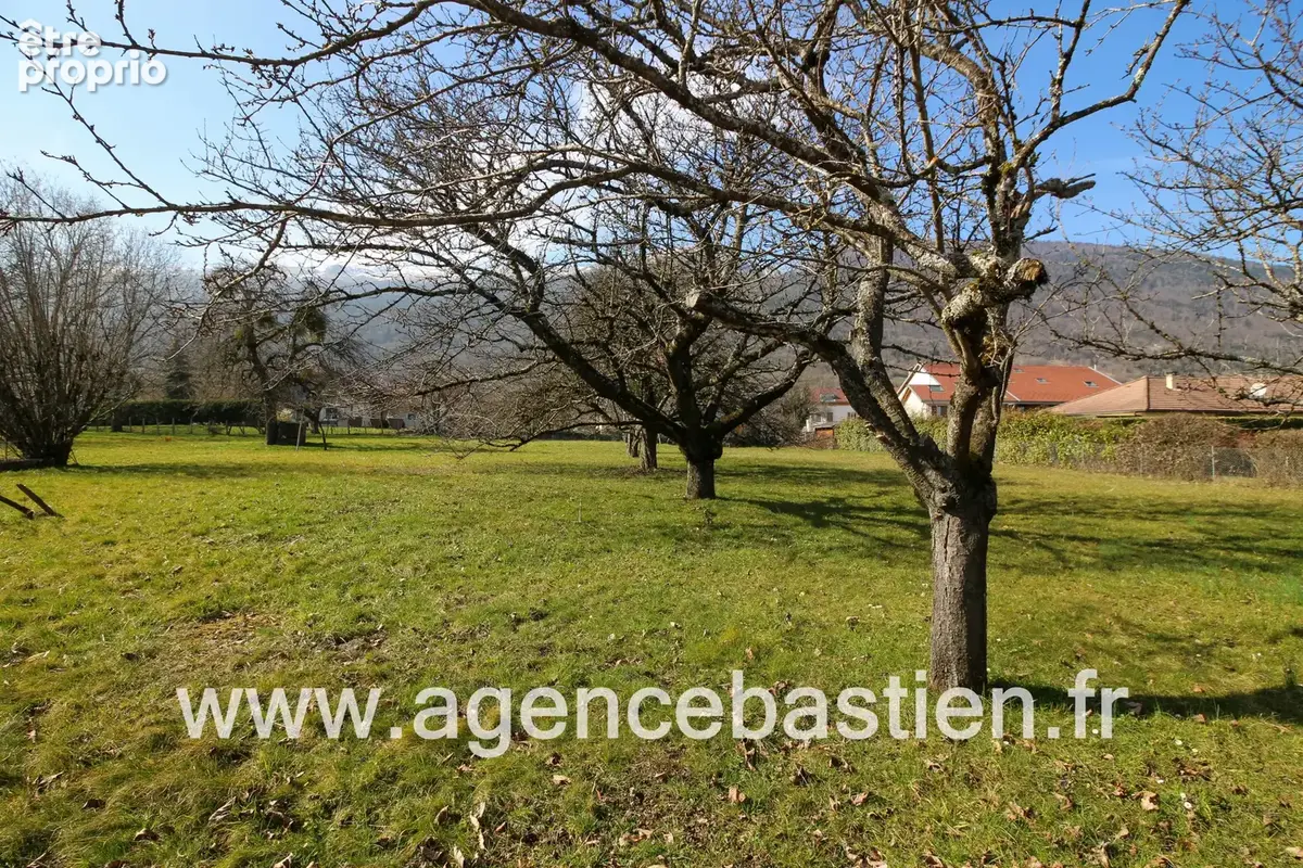 Exclusivité - Terrain constructible à Échenevex - viabilisé - 1.047 m2 - photo 3