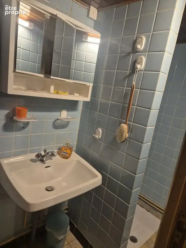 A VENDRE – Maison mitoyenne de 110 m² avec garage, dépendances, terrasse et jardin à Regney - photo 5