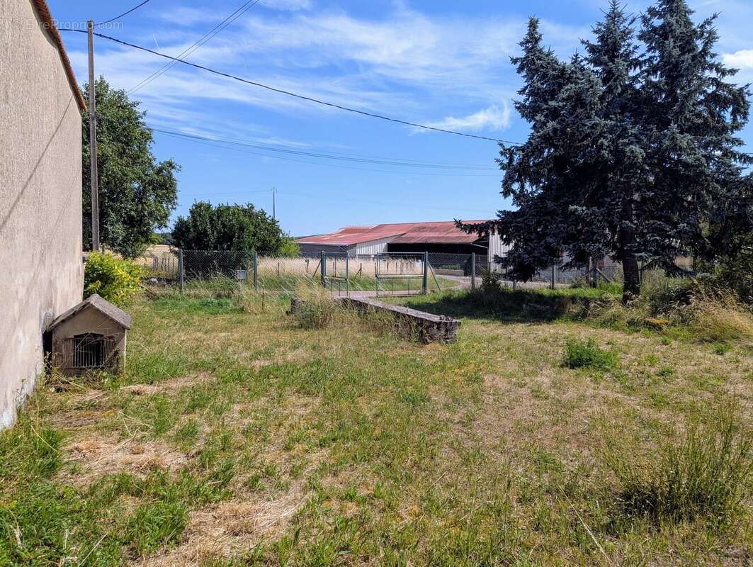 jardin à l\'avant - Maison à MAILLY-LA-VILLE