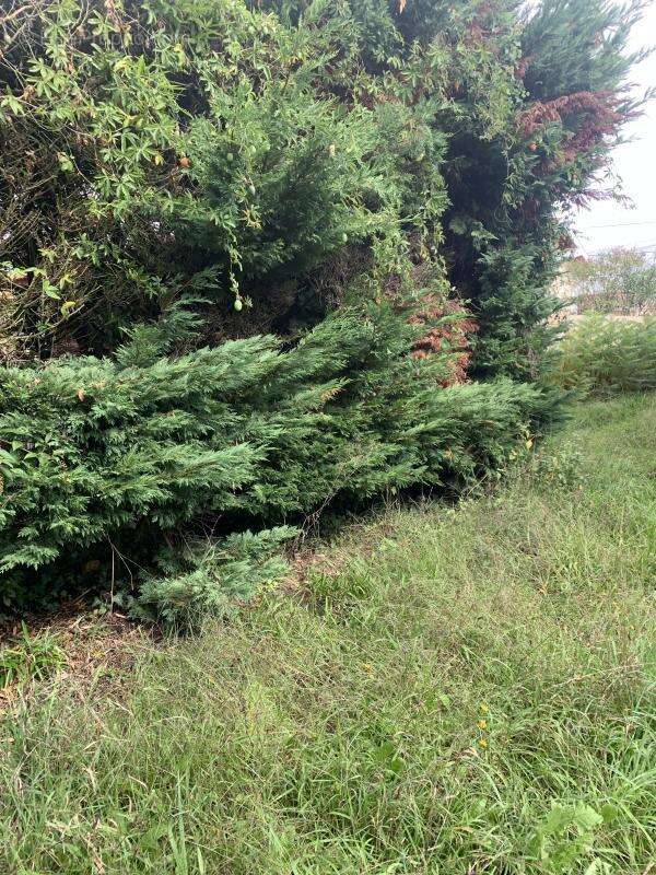 Terrain à GUJAN-MESTRAS