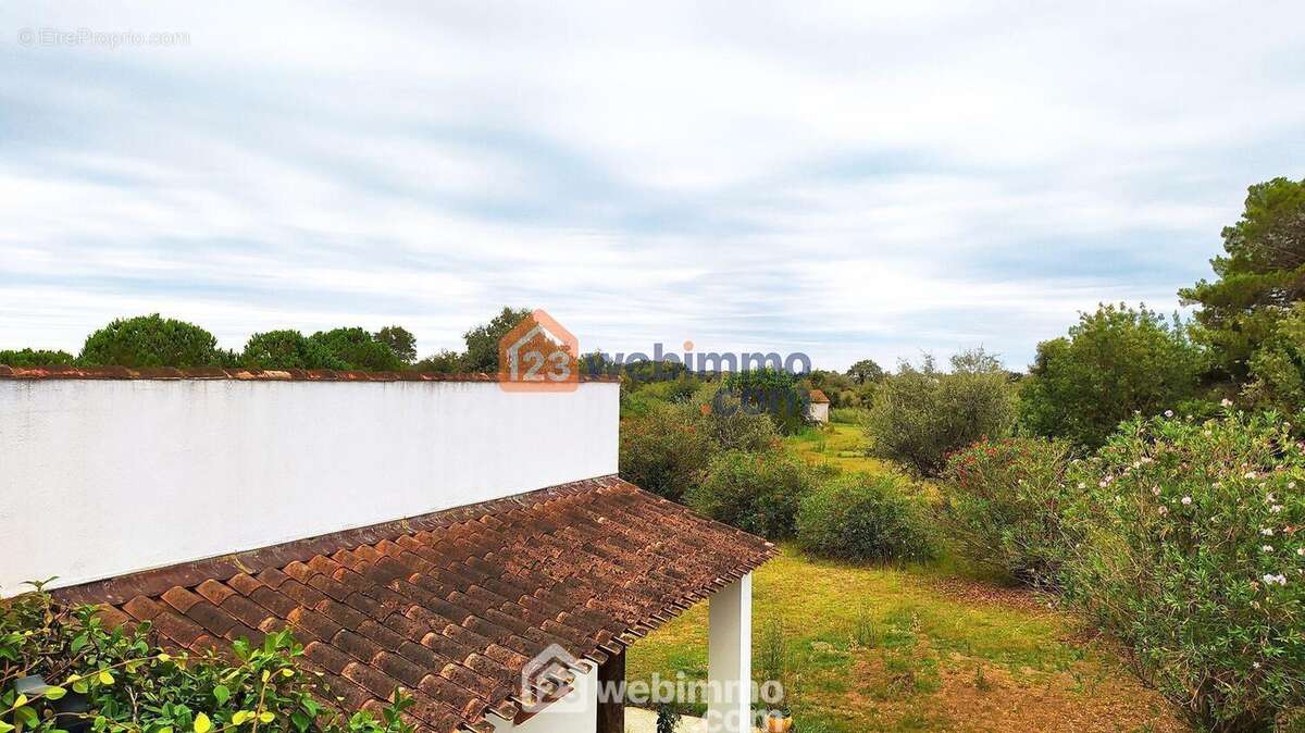 Maison 320 m² à Saintes-Maries-De-La-Mer  - photo 27