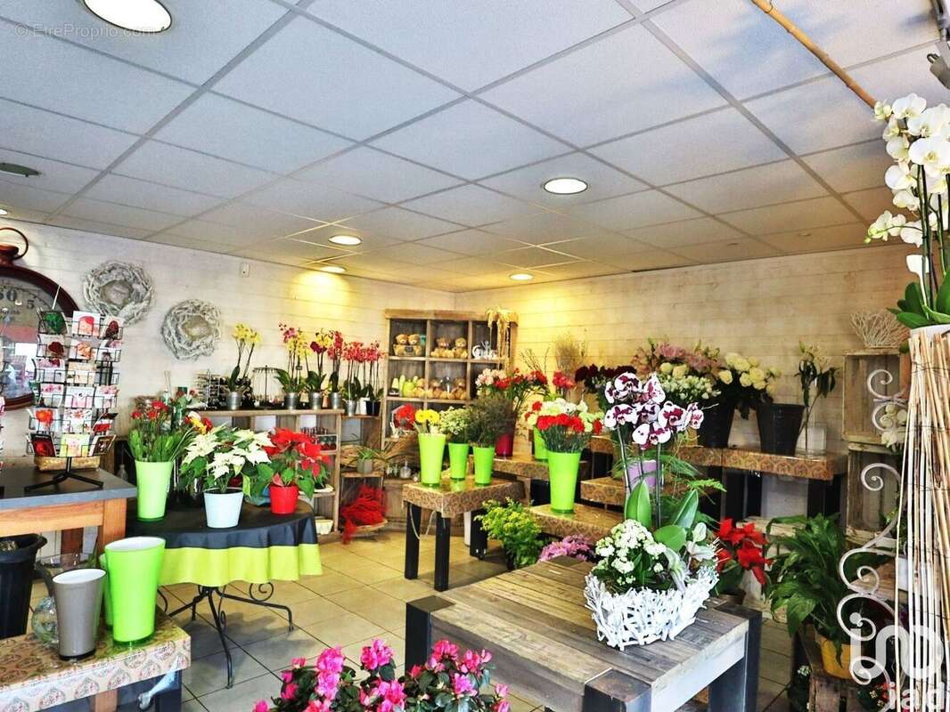 Photo 3 - Commerce à MONTOIR-DE-BRETAGNE