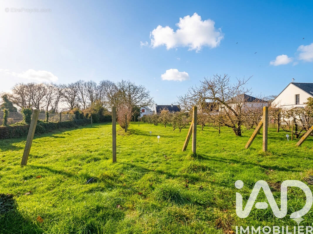 Photo 1 - Terrain à BONO