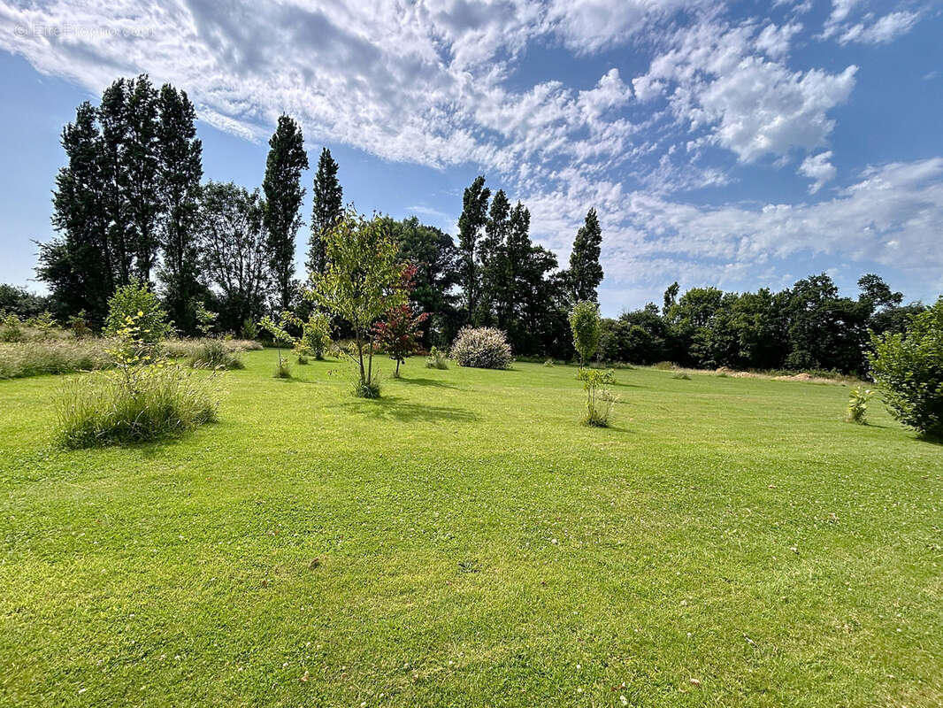 Maison à NEUFMESNIL