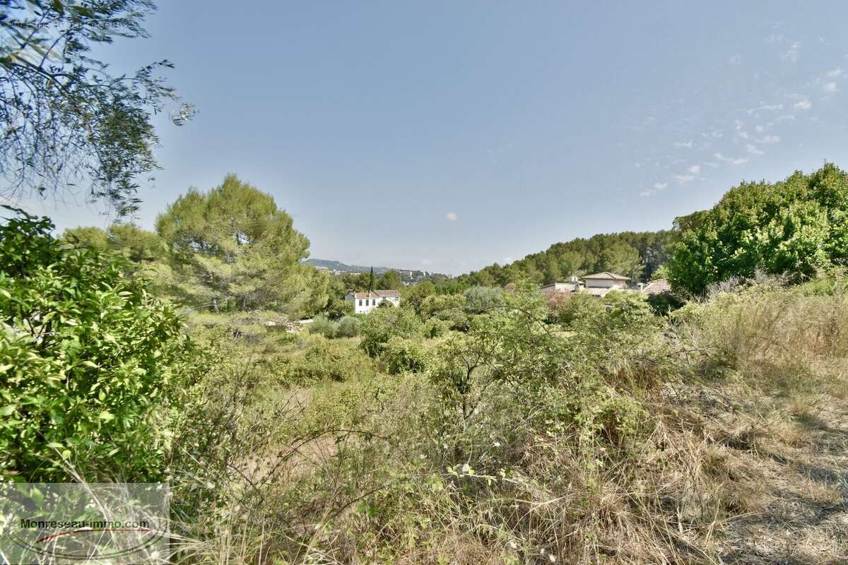 Terrain à MOUGINS