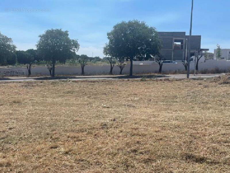 Terrain à PERPIGNAN