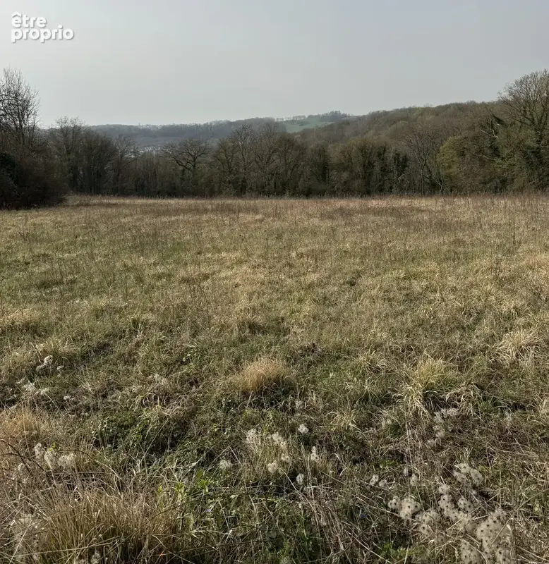 Terrain à MONTREUIL-AUX-LIONS