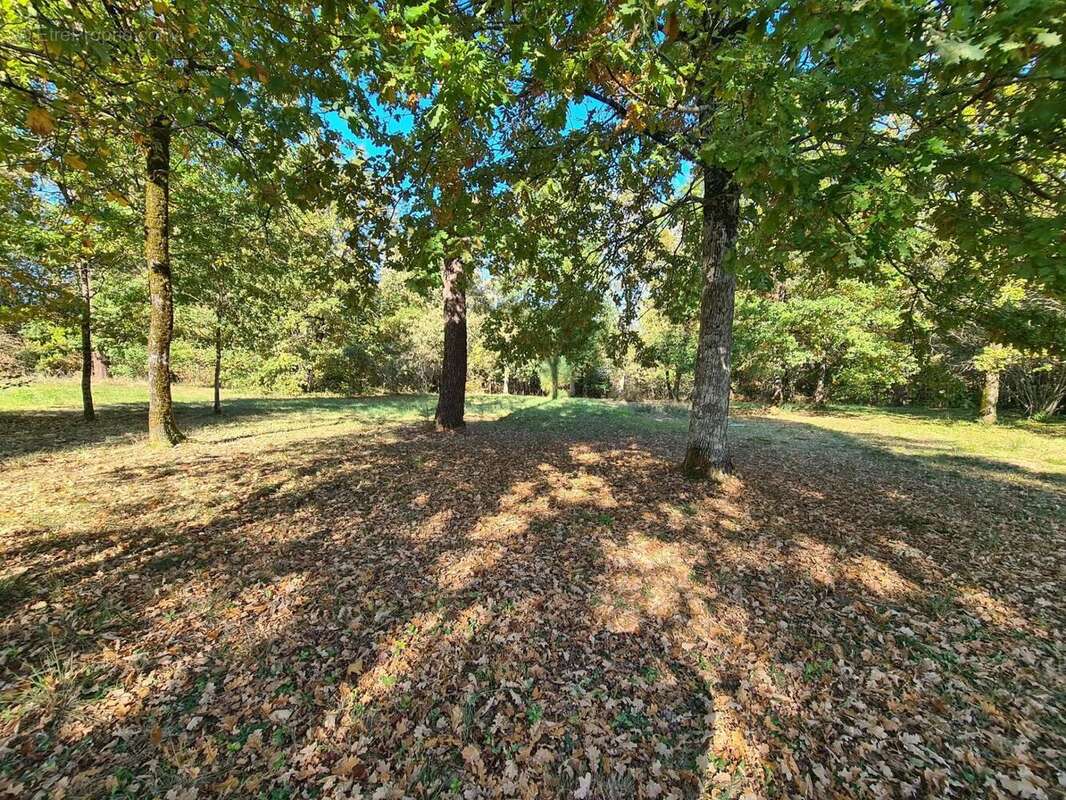 Photo 6 - Maison à SAINT-ASTIER