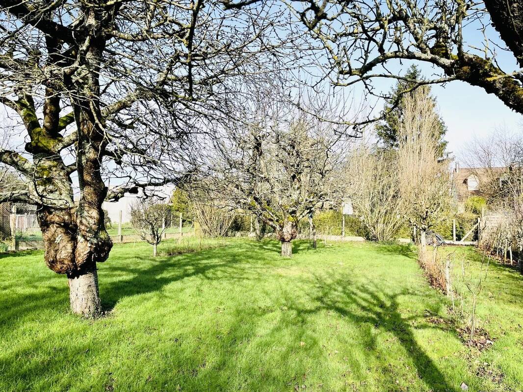 Christine &amp; Marc Stanord Palmer Immobilier - Maison à LA NORVILLE