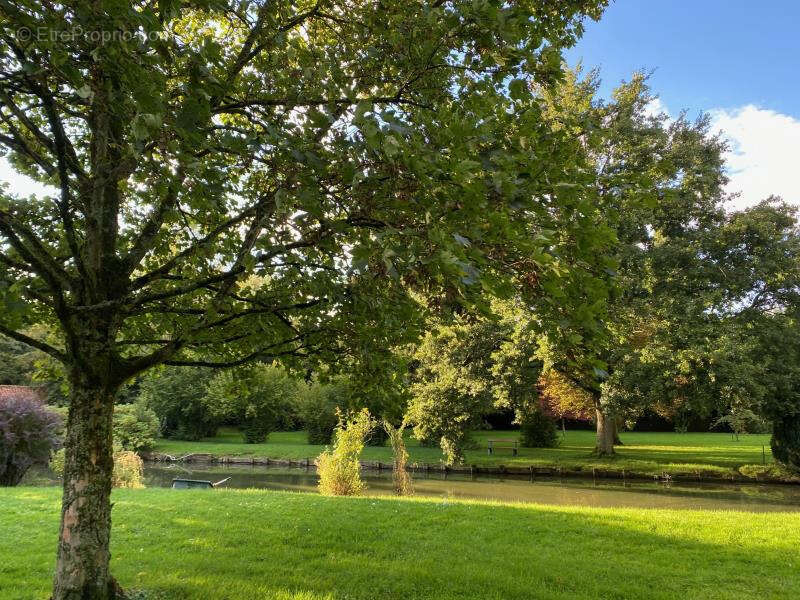 Maison à ROLLANCOURT