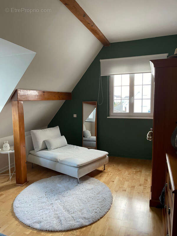 Pfastatt grande propriété familiale - photo 9