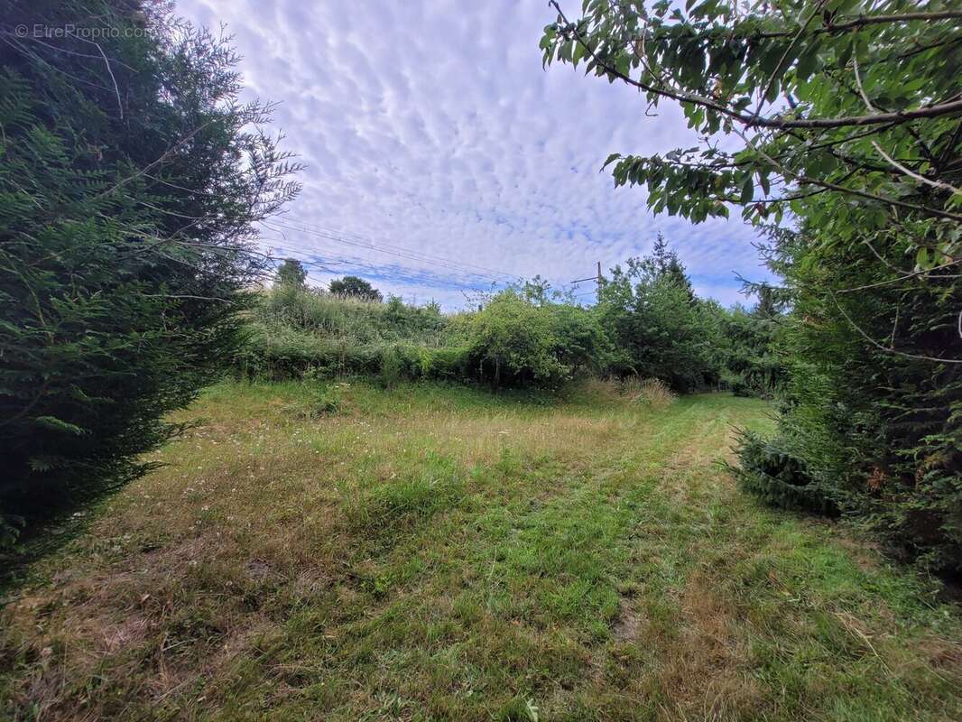Terrain 1440 m² à Bellou-Sur-Huisne  - photo 3