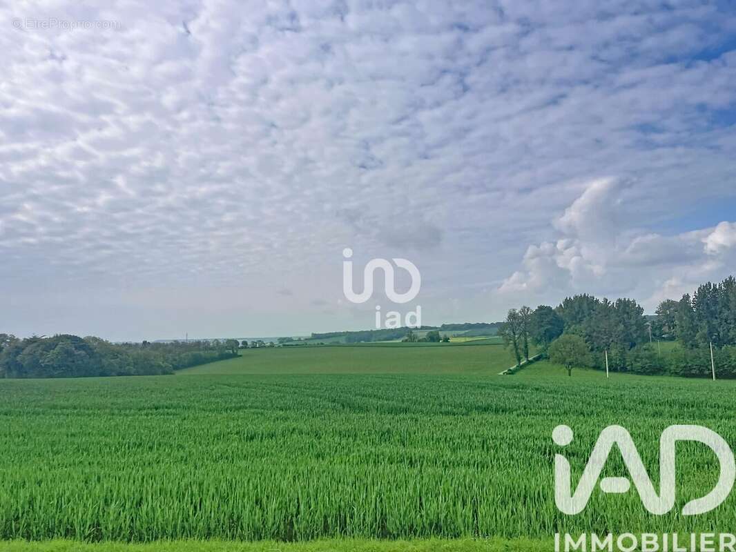 Maison 106 m² à Doudeauville  - photo 8