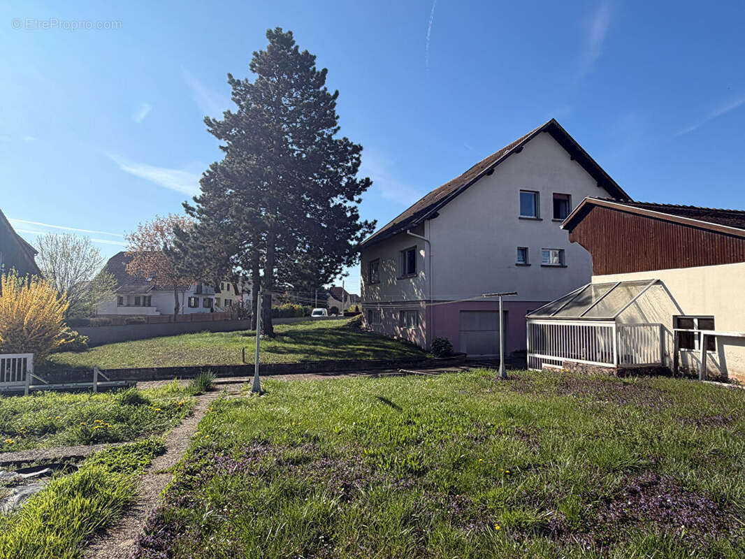 Krautergersheim - Maison familiale de caractère -135 m² sur 13 ares - photo 13