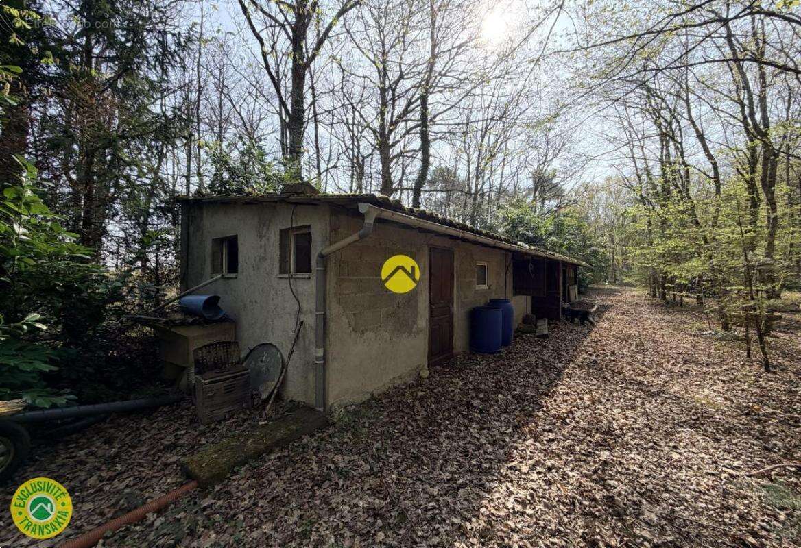 Terrain à MAREUIL-SUR-ARNON