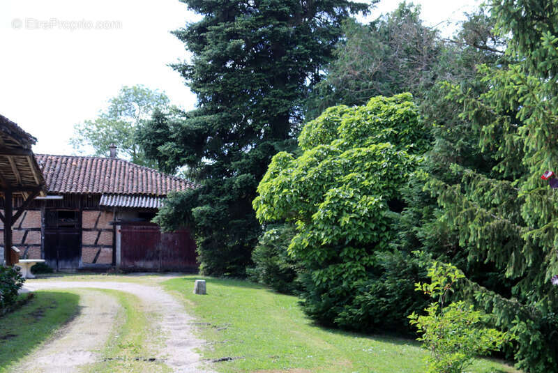 Maison à SAINT-TRIVIER-DE-COURTES