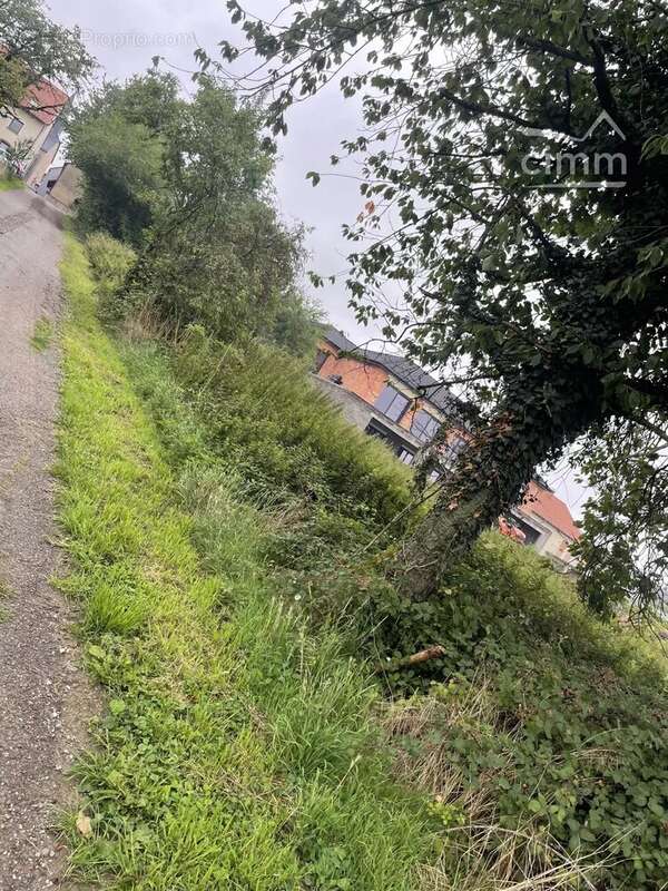 Terrain constructible d'une surface de 1105 m² à CADENBRONN - photo 3