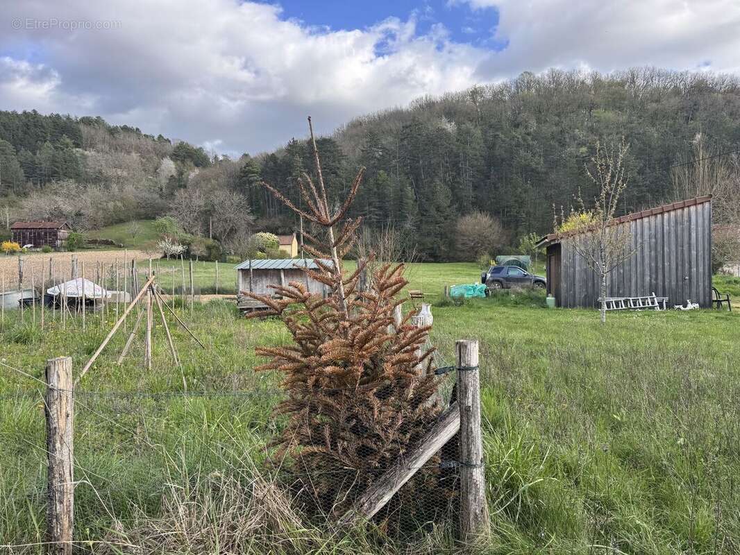 IMG2116 - Maison à BEYNAC-ET-CAZENAC