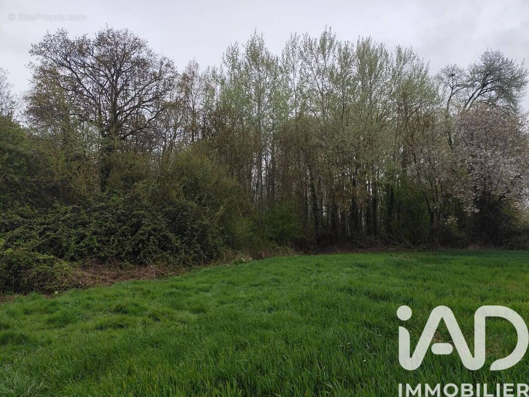 Photo 1 - Terrain à MARLES-EN-BRIE