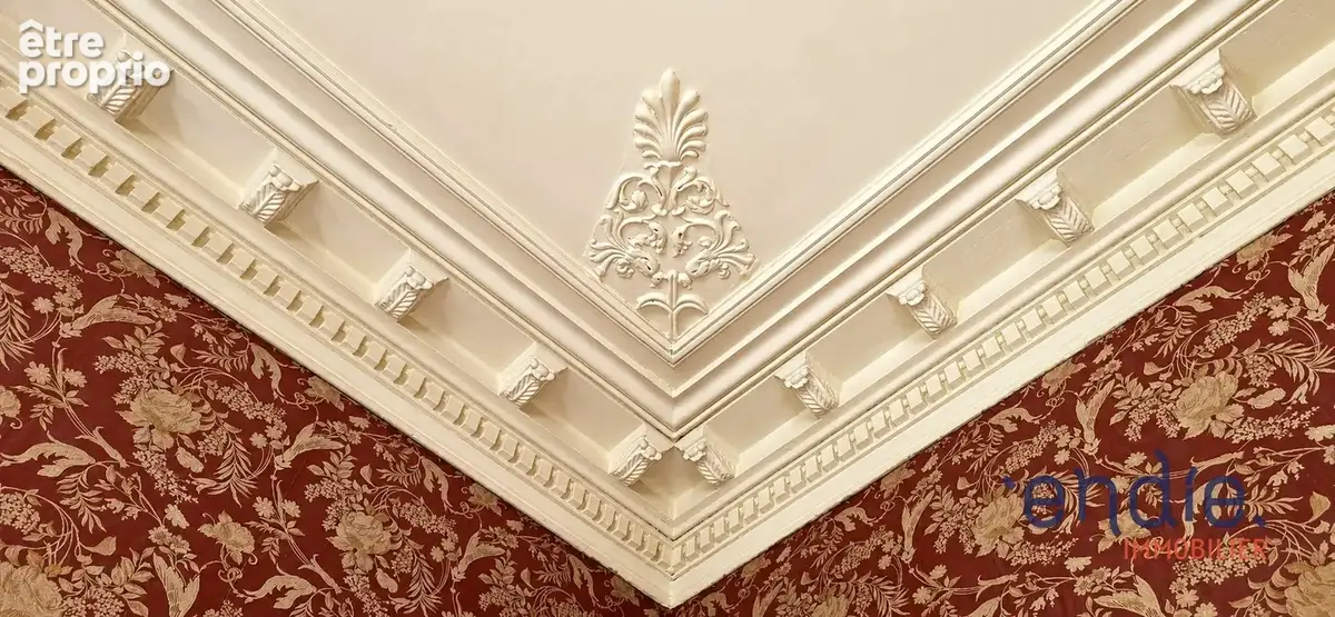 Maison de maître + gîte - photo 18